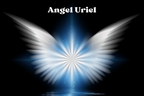 Angel Uriel aleleyton.cl
