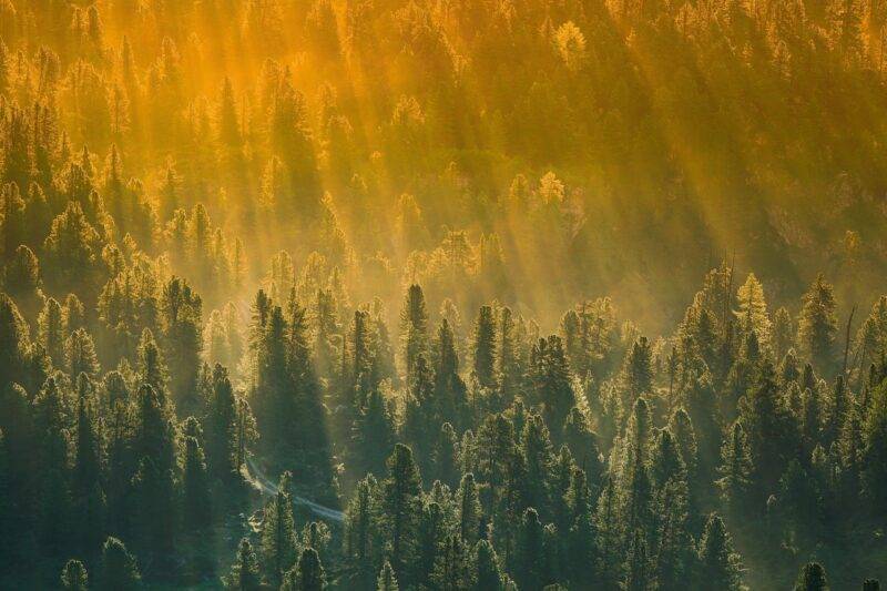 ¿Cómo se comunica Dios con la Humanidad? a través de la belleza de la naturaleza.